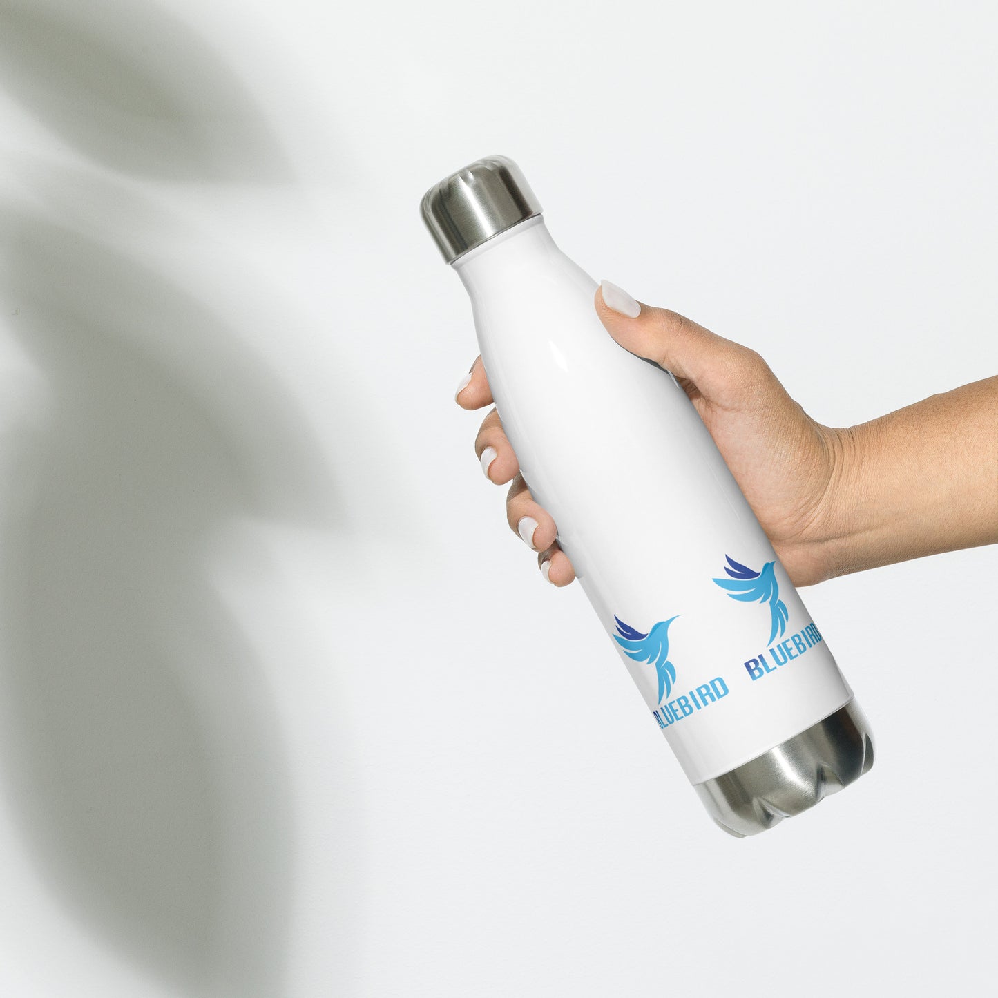 Stainless steel water bottle